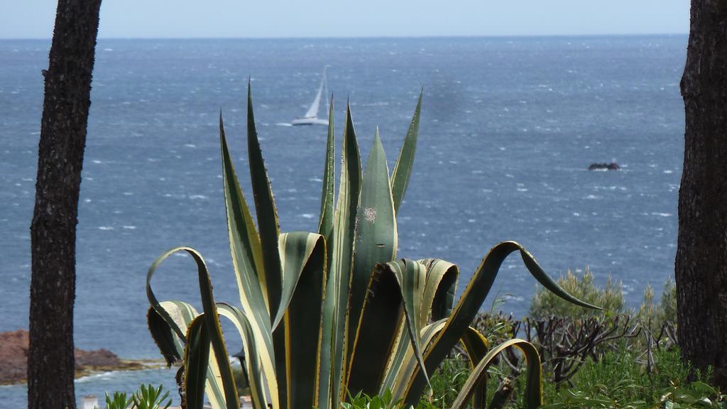Bastidon Vue Mer Antheor-Cap-Roux 객실 사진
